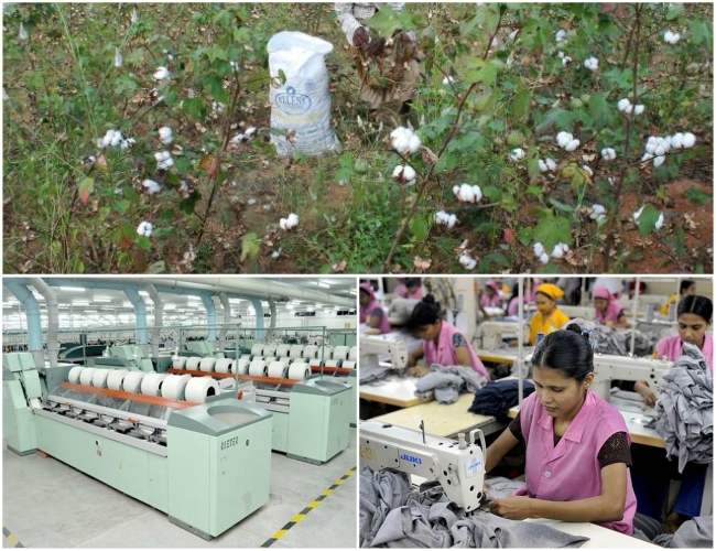To boost cotton industry, Maharashtra soon to set up nine textile parks NewsBharati