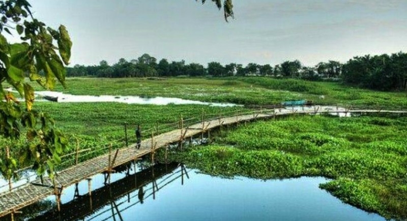 tourism in assam project