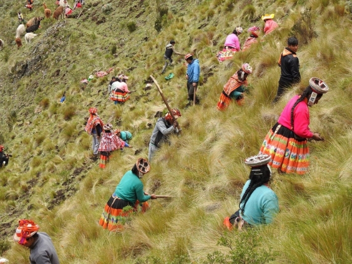 a_1&nbsp;&nbsp;H x W: 0 x