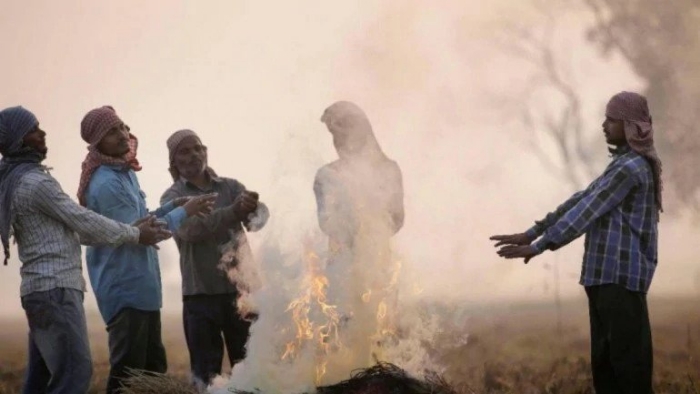 a_1&nbsp;&nbsp;H x W: 0 x