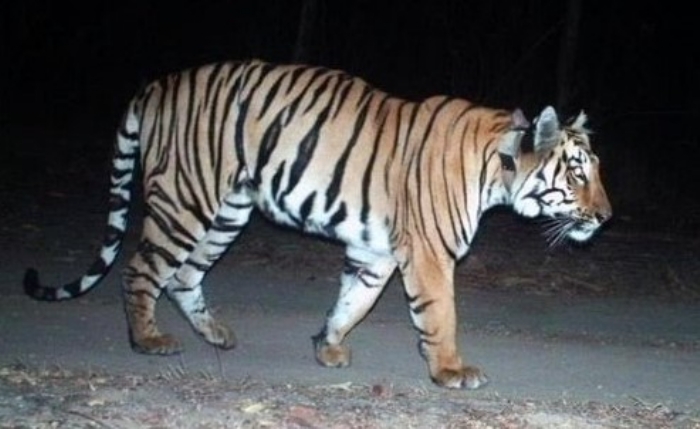 a_1&nbsp;&nbsp;H x W: 0 x