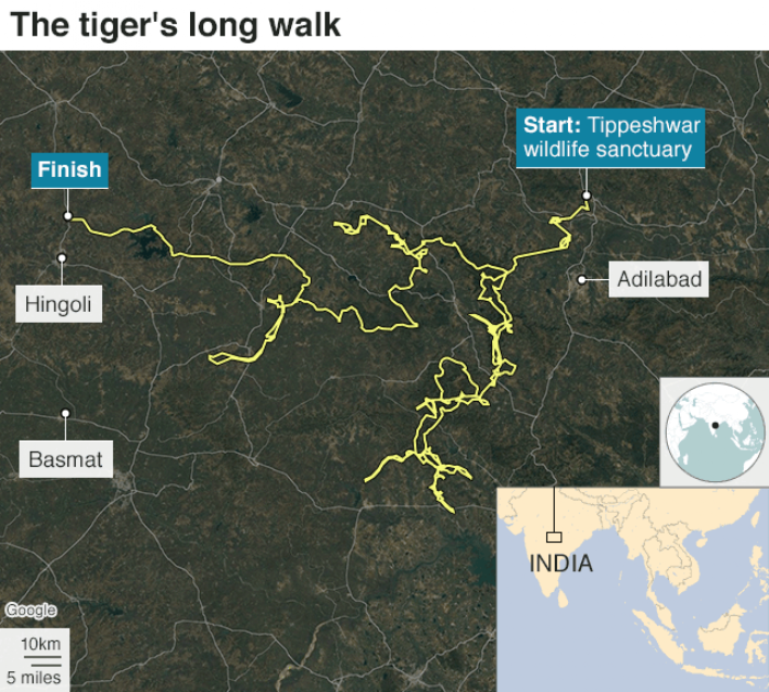 a_1&nbsp;&nbsp;H x W: 0 x