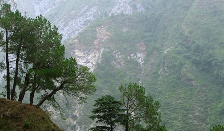 1_1 H x W: 0 x 1_1 H x W: 0 x