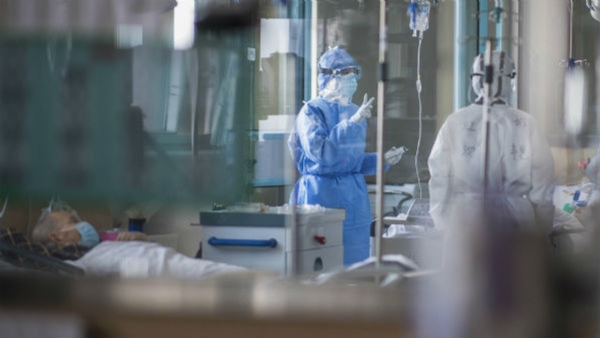 Corona_1&nbsp;&nbsp;H x W