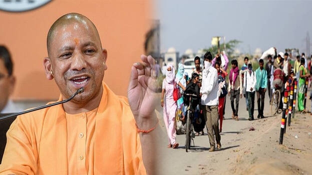 yogi_1&nbsp;&nbsp;H x W: 