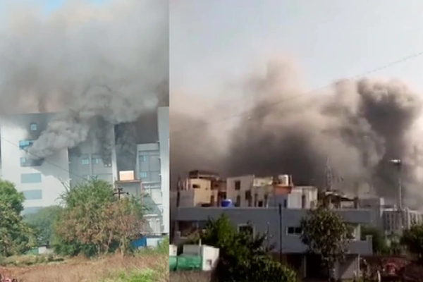 1_1&nbsp;&nbsp;H x W: 0 x