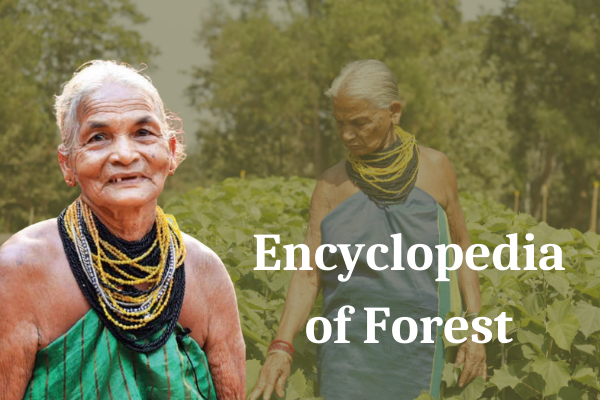 Encyclopedia of Forest_1&