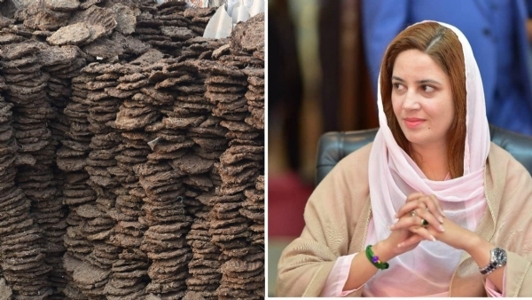 imran khan pak cow_1 