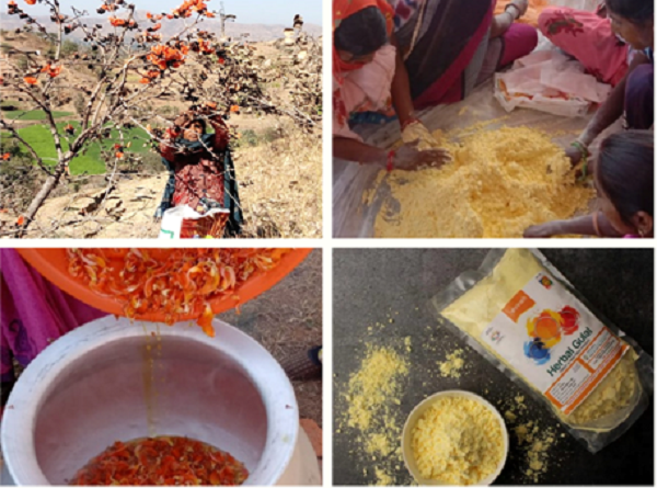 Van Dhan Yojana Rajasthan