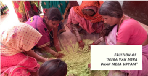 Van Dhan Yojana Rajasthan