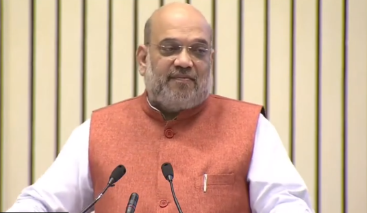 Amit Shah Hindi Diwas_1&n