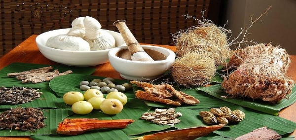 ayurveda india australia_