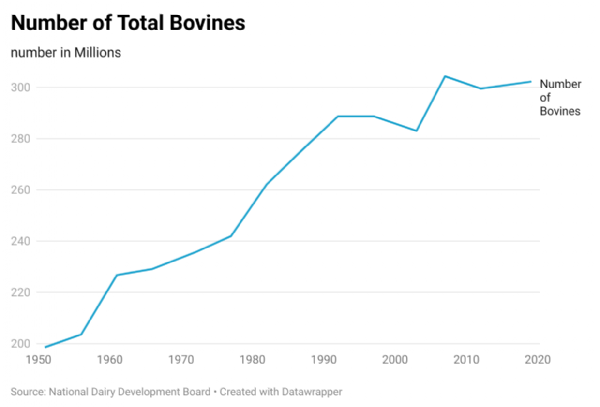 Number of Bovines