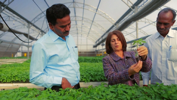 Israel to set up two centres of excellence in J&K as part of agriculture project