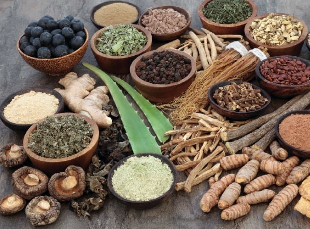 It's the right time to bring Ayurveda Mainstream