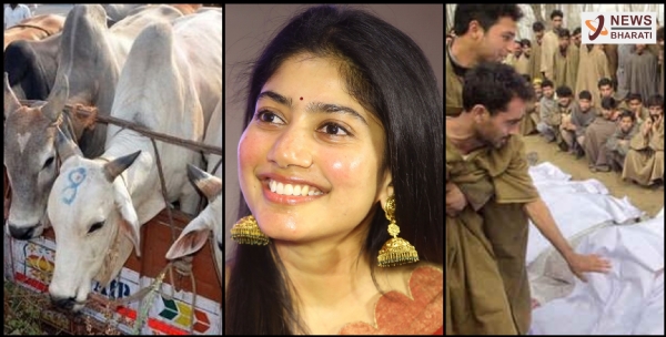 Sai Pallavi compares Kashmiri Pandit genocide with unconfirmed killings of cow smugglers