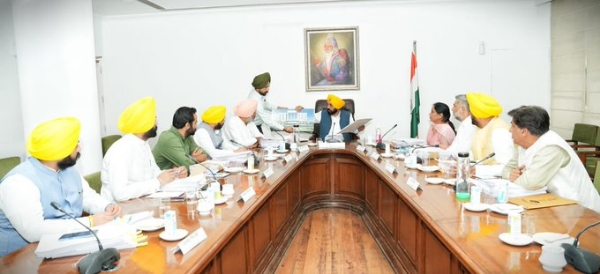 Punjab white paper