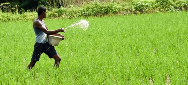 Centre approves Rs 2,516 cr for computerisation of 63k Primary Agriculture Credit Societies