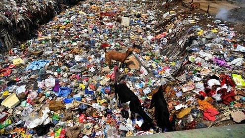 Over 200 ton sea coast garbage removed in 20 days