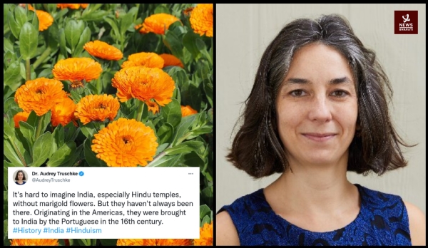 Audrey Truschke claims marigolds were brought to India by Portuguese Truth