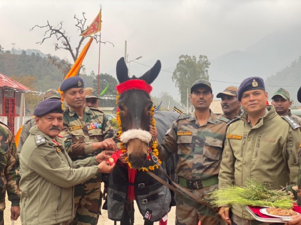 Indian Army honours mule for service with 