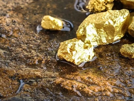Huge gold mines found in three districts of Odisha