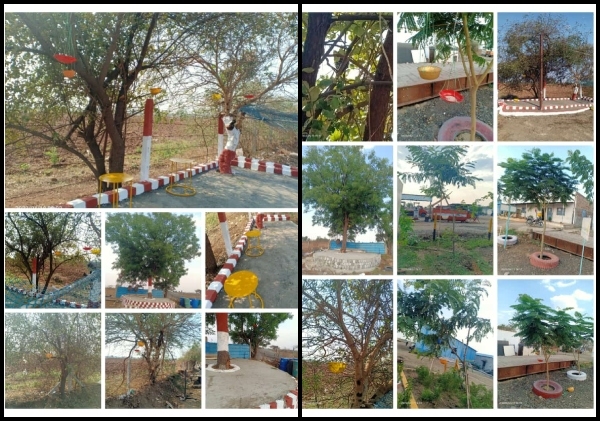 Birds feeding site  at Amravati 