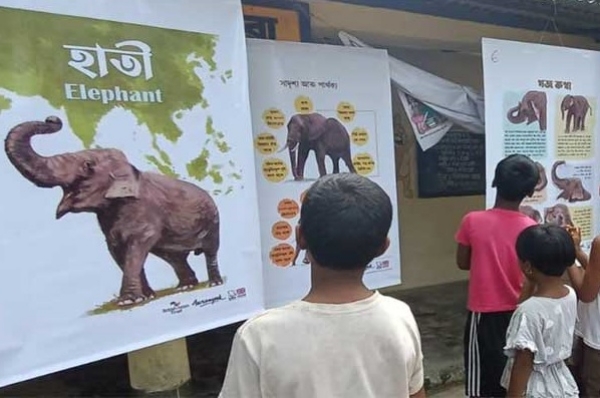 Gajah Kotha