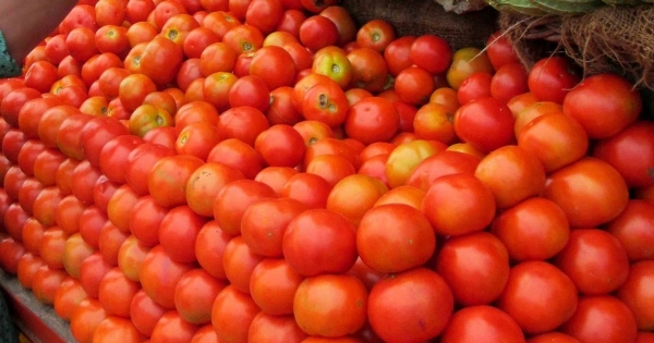  tomatoes