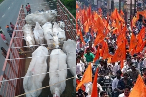 Bajrang Dal Cow Smuggling