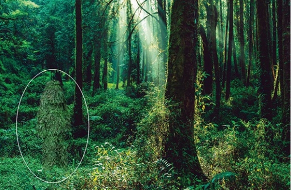 Multi Spectral Camouflage Nets