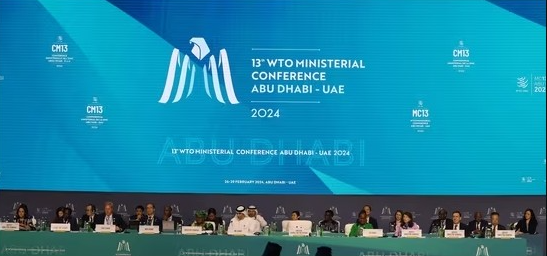 Thailand WTO envoy India