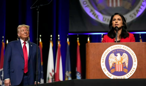 tulsi gabbard donald trump
