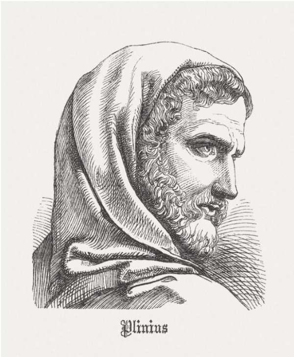 Pliny