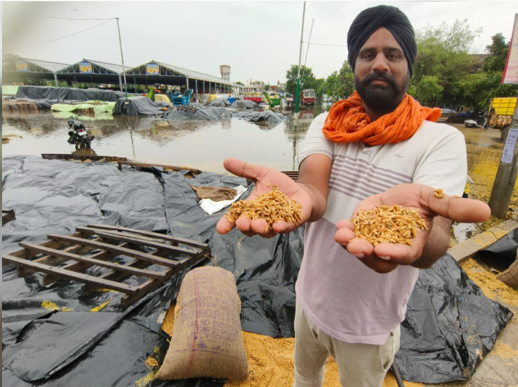 Punjab Mandi Flood