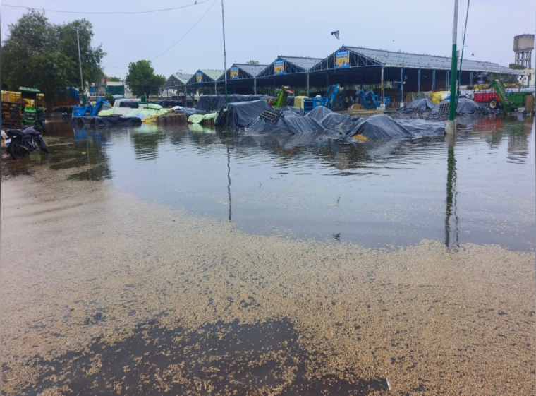 Punjab Mandi Flood 3