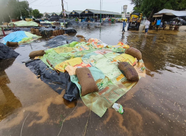 Punjab Mandi Flood 2