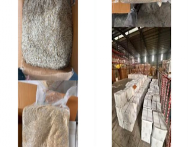 DRI Seizes 25,000 Kg Pakistani-Origin Watermelon Seeds Routed Through Dubai, Arrests Two