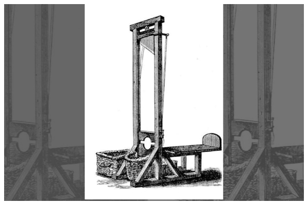 Reverse Revolution in France