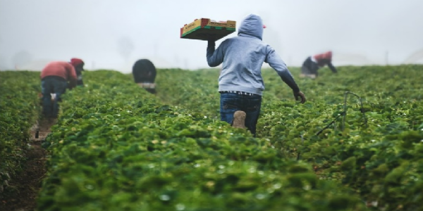 Greener pastures, a great getaway for the youth today