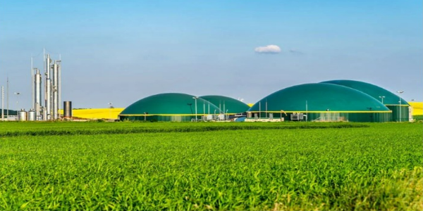 Energy Security in an Uncertain World: India’s Biofuel Opportunity