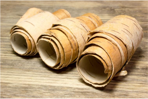 Birch Bark Roll