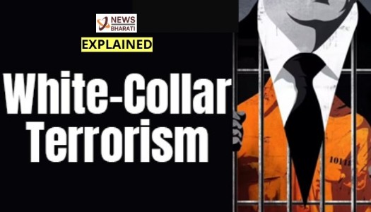 How white collar terrorism is India's most invisible threat