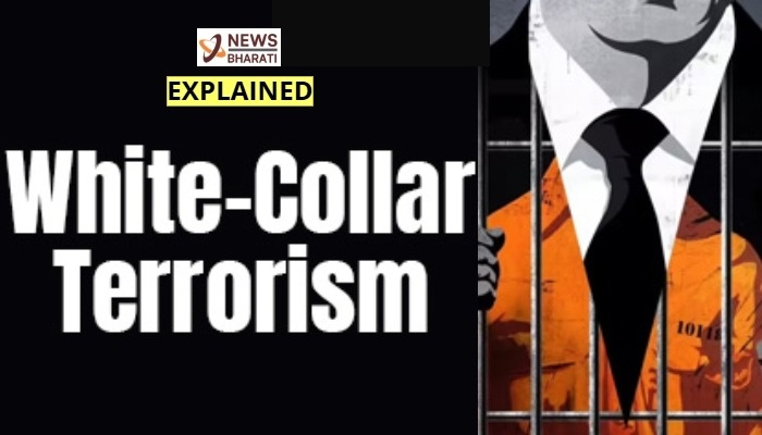 White collar terrorism