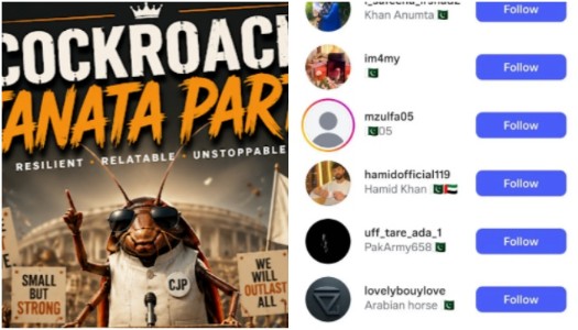 Pakistan links to the 'Cockroach Janata Party'? Netizens react to 'party's' Islamic country followers, debate sparks