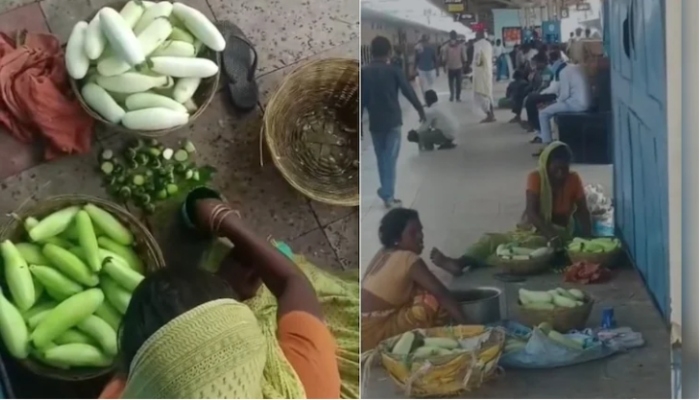 fake cucumbers newsbharati