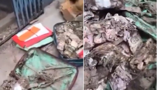 Termite-infested cash notes worth lakhs found in 'storeroom' at Kolkata's Surendranath College; BJP says location TMC's Student office
