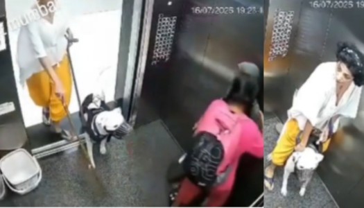 Mumbai: Pet dog turns aggressive, attacks girls inside Malad society lift; video viral