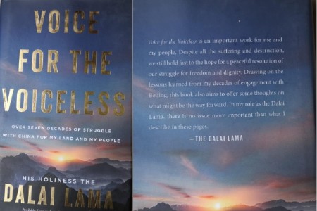 A Masterclass in Resilience and Compassion: A Comprehensive Review of Voice for the Voiceless