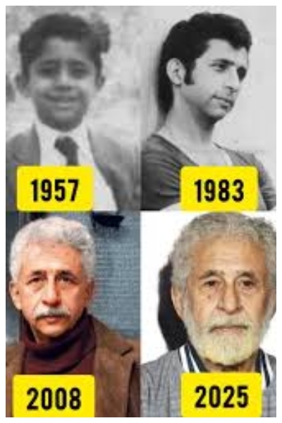 Excuse Me, Mr Naseeruddin   